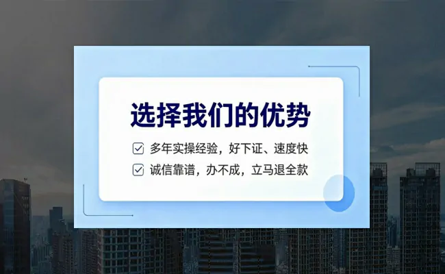 公司优势
